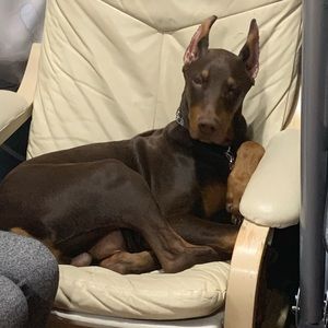 Meet your Posher, Leigh